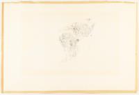 Vier Pferde auf der Weide