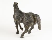 Shying horse
