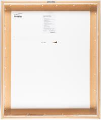 Joseph Beuys 1980/83