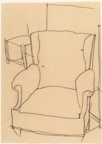 The armchair of Dr Hugo Koller