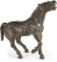 Shying horse