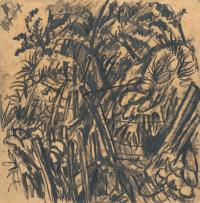 „Mühlenschlucht“ (Mill Gorge)