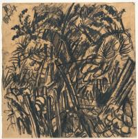 „Mühlenschlucht“ (Mill Gorge)