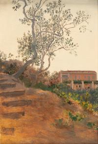 Olivenbaum vor Villa in Ariccia