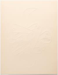 L'oiseau qui n'existe pas