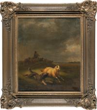 Hütehund ein Schaf einfangend