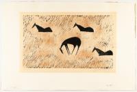 Vier Pferde auf der Weide