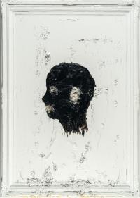 „The Senses & Feathers“