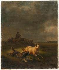 Hütehund ein Schaf einfangend