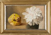 Stillleben mit Quitte und weißer Dahlienblüte