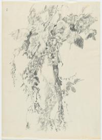 Blütenzweig (Studie)