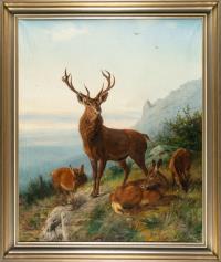 Hirsch und drei Rehe in Berglandschaft