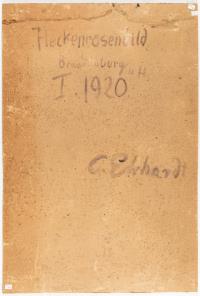 „Heckenrosenbild“