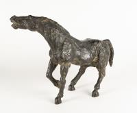 Shying horse