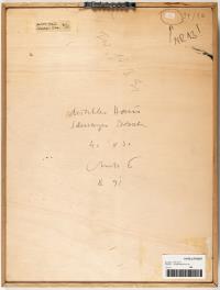 "dunkles Haus, schwarzes Dach"