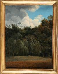 Wolken über Waldrand
