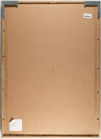 „Tulip Orange and Red“