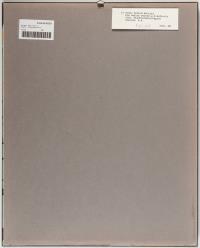 "die Säulen warten auf den Auftritt"