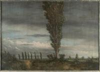 Regenlandschaft mit windgepeitschten Pappeln