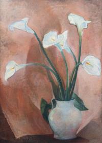 Calla-Lilien