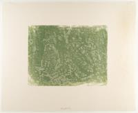 Forest Path ‘View’ (Detail 1, 2006)