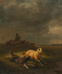 Hütehund ein Schaf einfangend