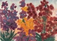 Yellow, red and purple flowers