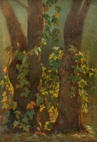 Alberi e vegetazione