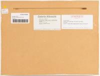 Untitled (Imagine You Are Walking)