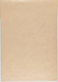 Damenbildnis von vorne