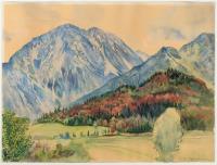 „Der Miesing b. Bayrisch-zell"