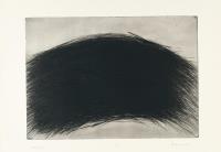 Haute Coiffure