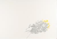 Dirigerer Sibelius, Grieg, Carl Nielsen