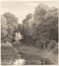 Im Kleinen Tiergarten in Braunfels