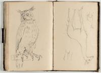 Skizzenbuch mit Tier- und Figurenstudien