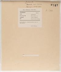 Draughtsman, turned slightly to the left