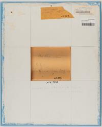 Komposition in Grün