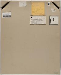 Presenze nello spazio