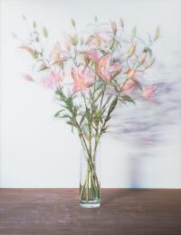 Bouquet (19.11.–30.11.2005)