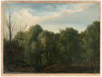 Waldstück mit einem unbelaubten Baum