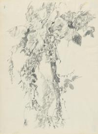 Blütenzweig (Studie)