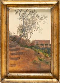 Olivenbaum vor Villa in Ariccia