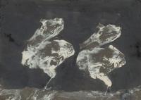 „Zwei Nachtvögel“