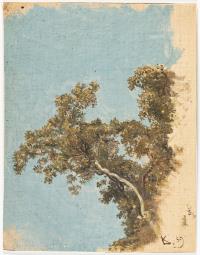 Baum vor blauem Himmel