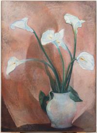 Calla-Lilien