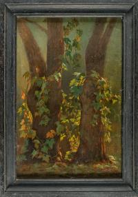 Alberi e vegetazione