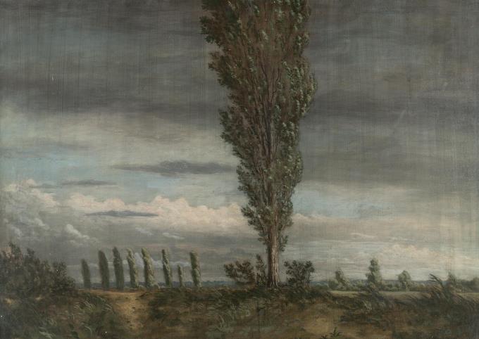 Regenlandschaft mit windgepeitschten Pappeln