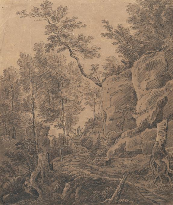 Waldweg in einer Klamm
