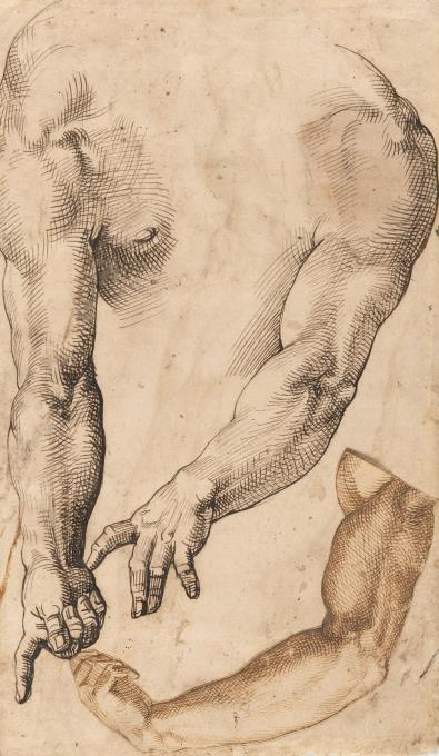 Anatomische Arm- und Beinstudien (recto-verso)