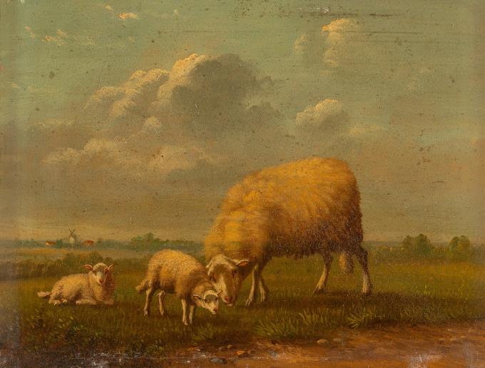 Mutterschäfchen mit Lämmern auf der Weide